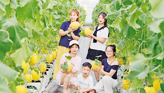 Chuyển đổi xanh trong du lịch - chiến lược hành động mang tính tất yếu