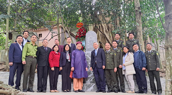 Hai cây đa cổ thụ xã Sơn Dương (Tuyên Quang) được công nhận là Cây Di sản Việt Nam