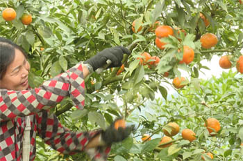 Chuyển đổi xanh - điều kiện tiếp cận phân khúc thị trường giá trị cao