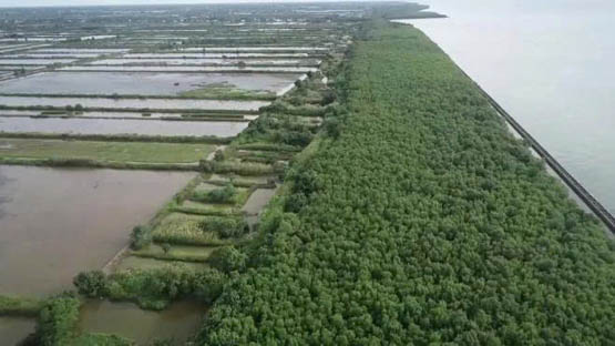 Cà Mau triển khai đồng bộ Quy hoạch không gian biển giai đoạn 2021- 2030