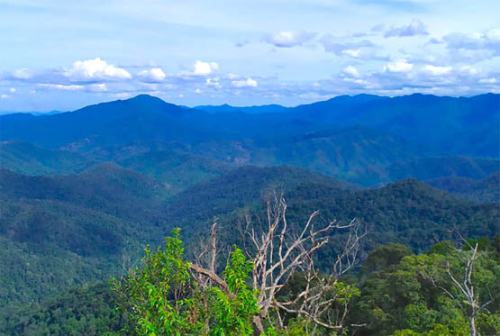 Điều chỉnh, bổ sung một số quy định về bảo tồn thiên nhiên và đa dạng sinh học