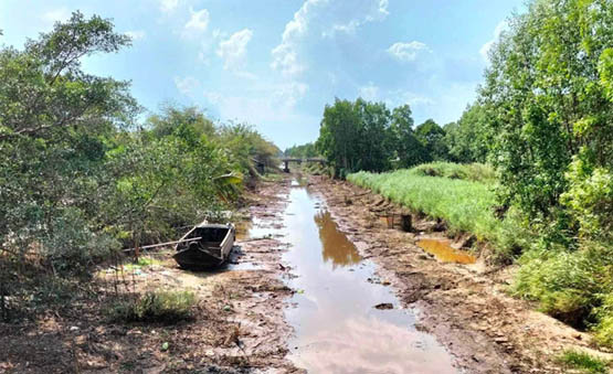 Xu hướng, diễn biến thời tiết năm 2026