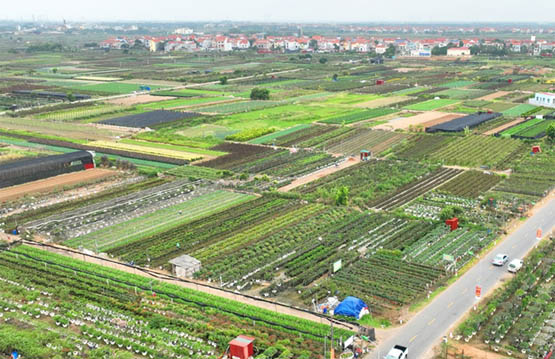 Hà Nội khuyến khích dùng thuốc bảo vệ thực vật sinh học, phân hữu cơ trong nông nghiệp