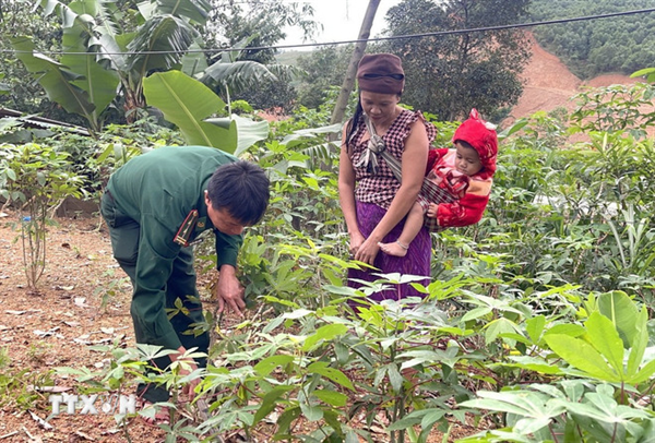 Quảng Trị: Những mô hình xanh 