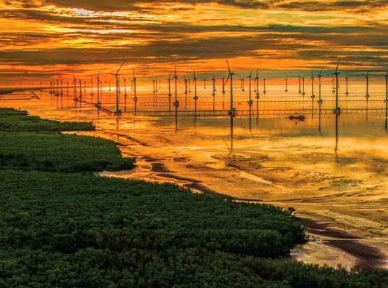 Chuyển đổi xanh: Từ nhận thức đến giải pháp thực hiện