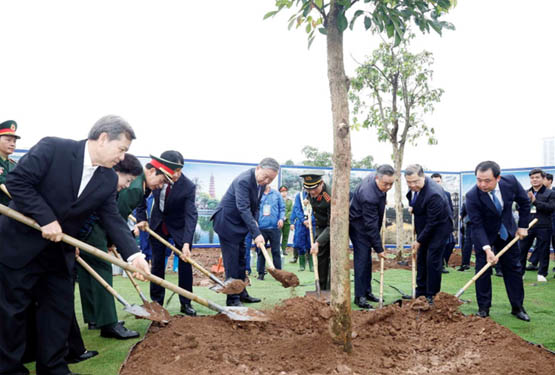 ‘Trồng cây phải đi đôi với chăm cây, bảo vệ rừng’