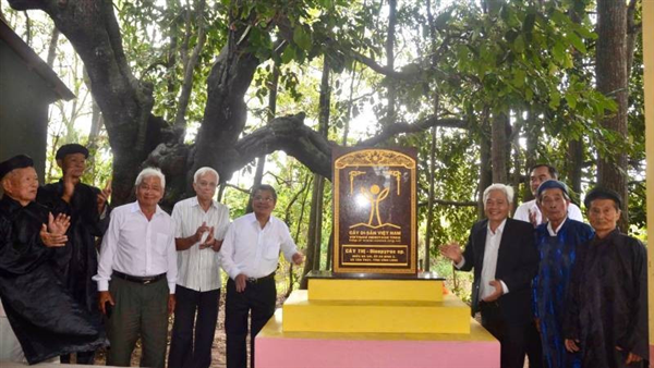 (Báo Nhân Dân): Vĩnh Long đón nhận Bằng công nhận Cây Di sản Việt Nam