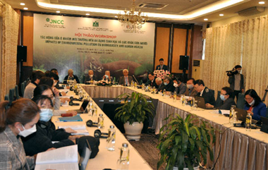Media contributes to the success of the international workshop 