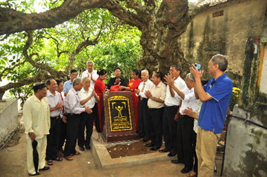The Đại tree on the banks of the Dang River is recognized as a Vietnamese Heritage Tree