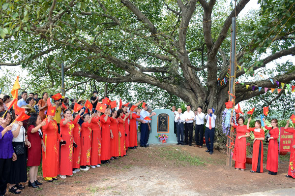 Some pictures of the ceremony of recognizing 2 ancient banyan trees in Song Lo district, Vinh Phuc province as Vietnamese Heritage Trees
