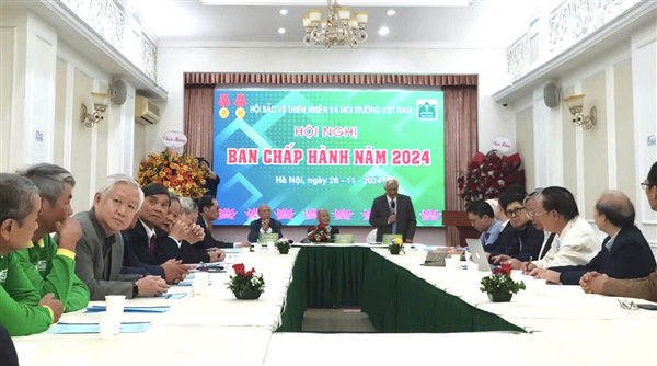 Executive Committee Meeting 2024: Continue to consolidate and sustainably develop the association
