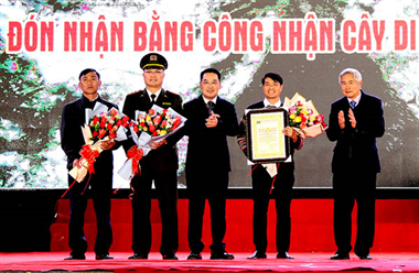 Some pictures pictures of the Ceremony of Receiving the Certificate of Recognition of Vietnamese Heritage Trees in Mu Cang Chai District, Yen Bai Province