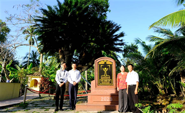Japanese experts visit Vietnamese Heritage Trees in Ben Tre