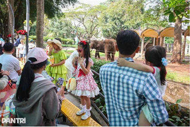 Saigon Zoo reports profit of nearly VND 5 billion