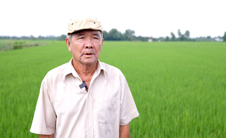 A person standing in a fieldAI-generated content may be incorrect.