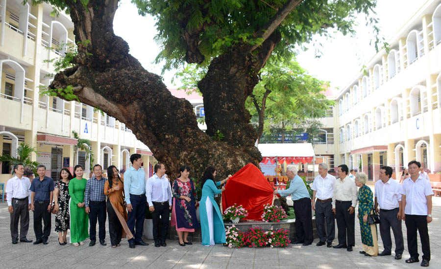 A group of people standing under a treeAI-generated content may be incorrect.