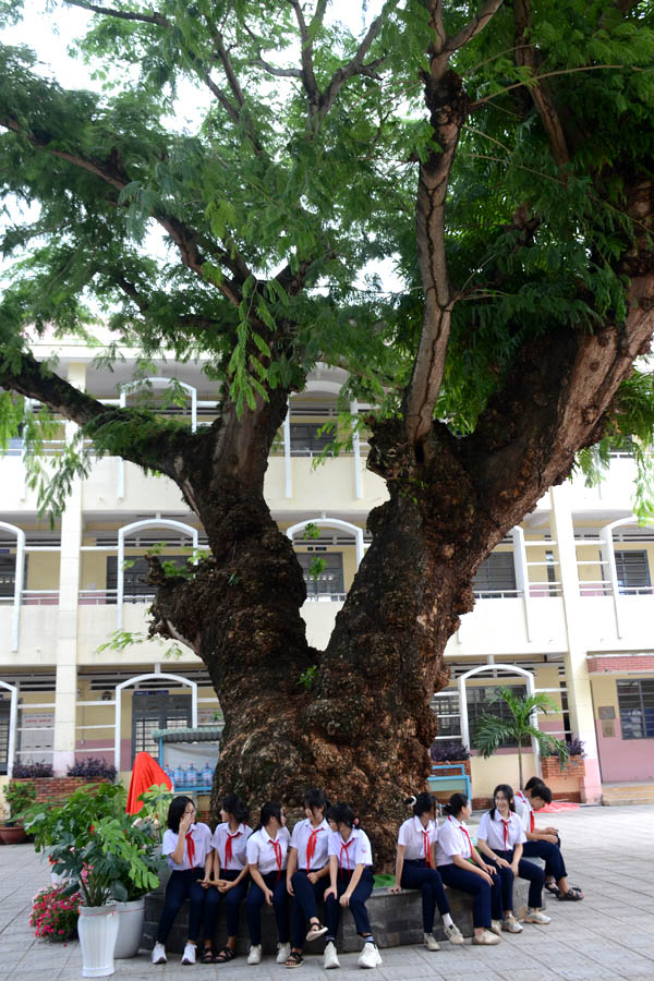 A group of people standing under a treeAI-generated content may be incorrect.