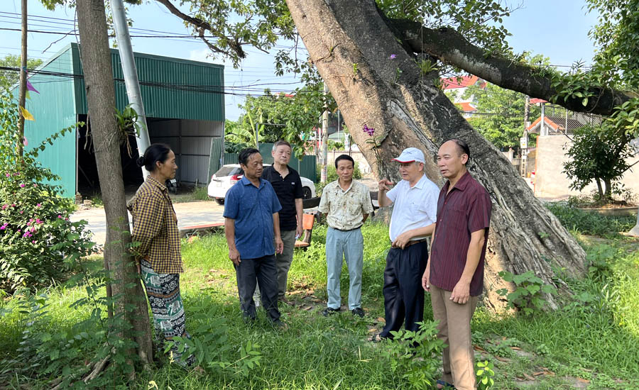 A group of people standing around a treeAI-generated content may be incorrect.