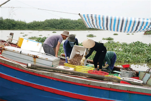 Hưng Yên: Thu gom rác thải nhựa từ tàu cá, bảo vệ môi trường biển