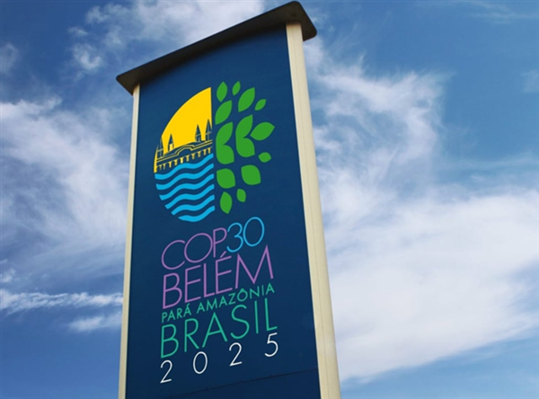 COP30: Việt Nam luôn ưu tiên bảo vệ và phục hồi các hệ thống carbon xanh