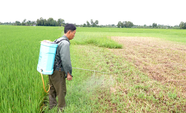 Khi nông dân làm chủ “công nghệ” xanh