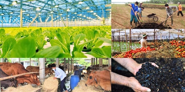 Dòng vốn xanh toàn cầu lập đỉnh 947 tỷ USD và dư địa tăng trưởng tại thị trường Việt Nam