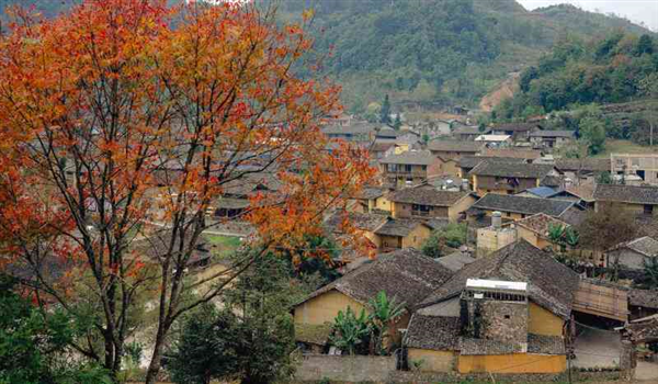 Du xuân trên những miền đất nguyên bản